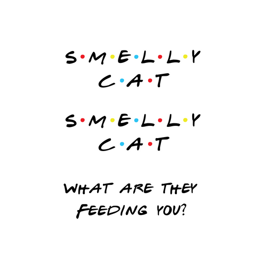 Friends TV Show Poster – Iconic Sitcom Wall Art for Fans – Smelly Cat Song