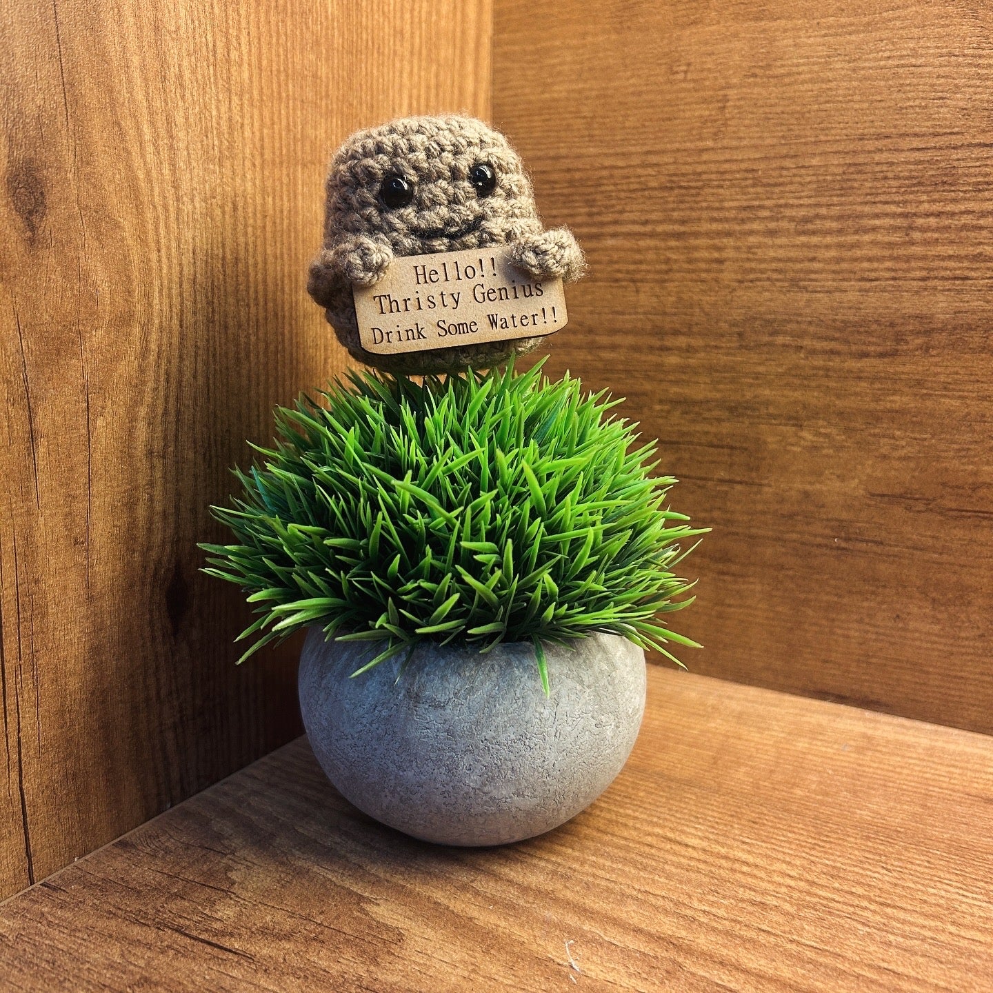 Positive Potato – Custom Motivational Desk Buddy Gift
