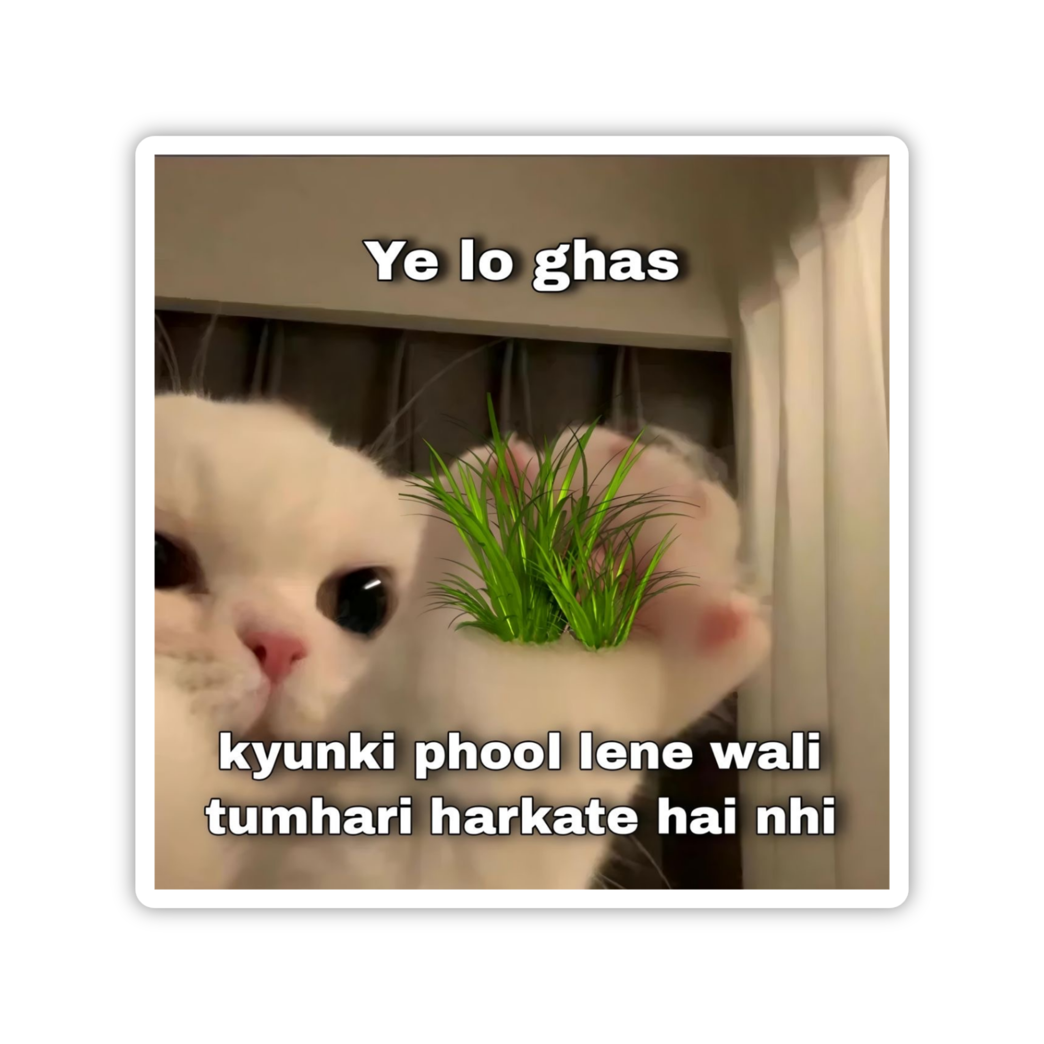 Cat Judging You Meme Sticker