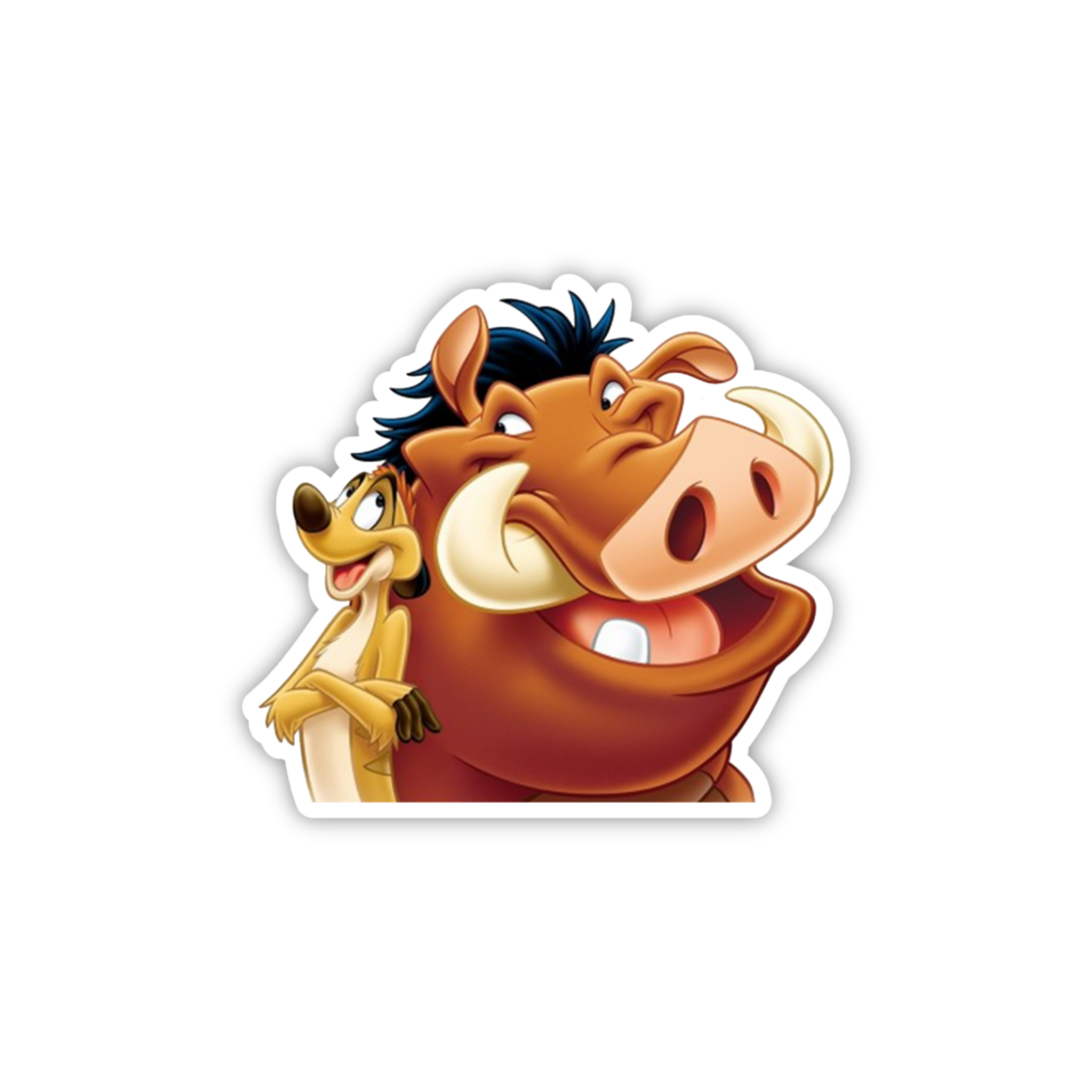 Timon Funny Expression Sticker