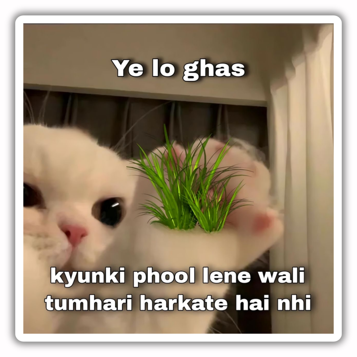 Funny quotes Shin Chan