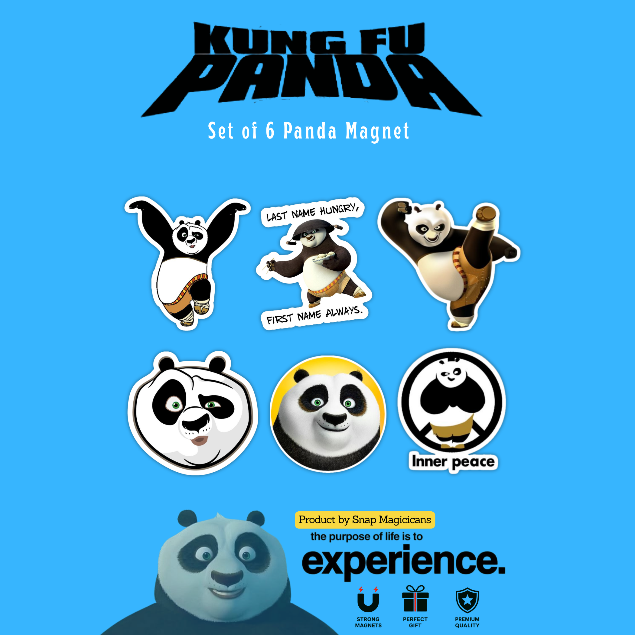 Kung Fu Panda Flexible Magnet Set of 12 | Cartoon Collectible Gift