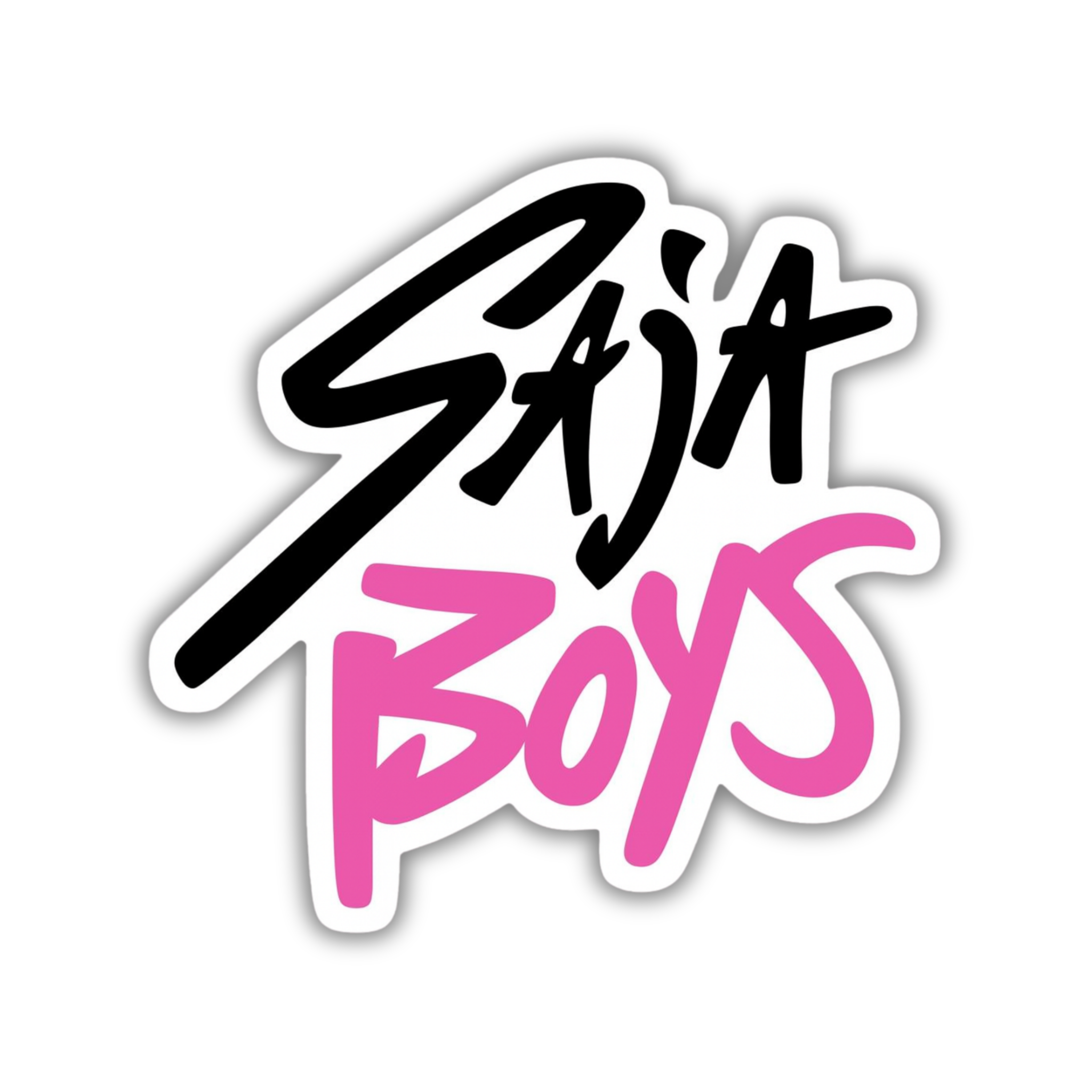 Stray Boys Script Logo Vinyl Sticker | K-Pop Aesthetic Fandom Laptop Decal | Snap Magicians