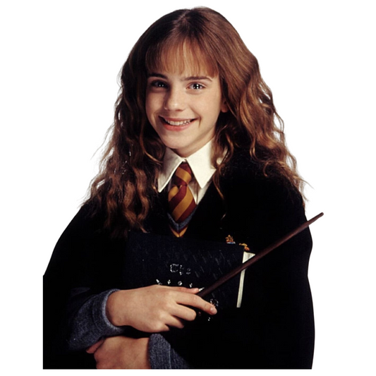 Harry Potter Stickers - Hermione Granger